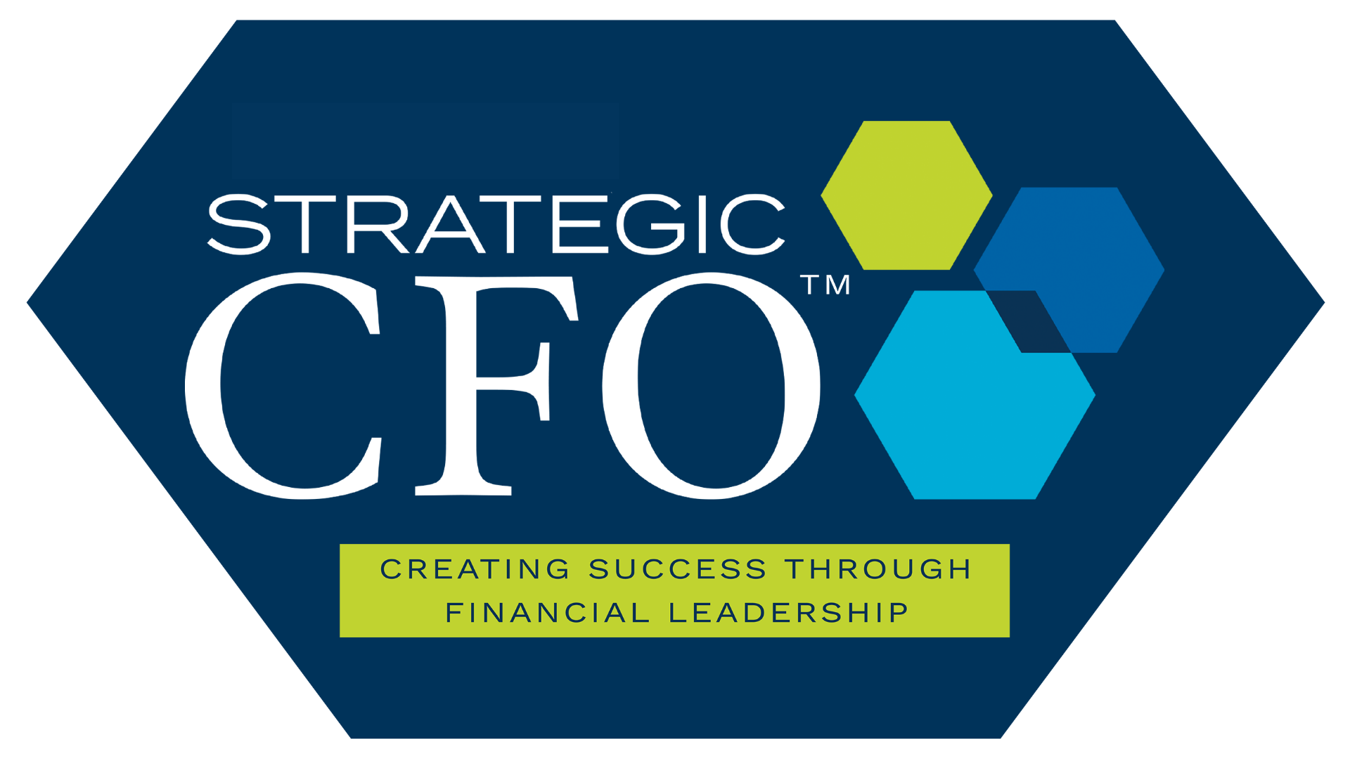 The Strategic CFO
